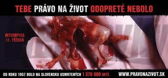 potrat1.jpg